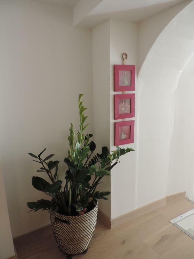 Apartamento Le Logis De La Fontaine Ceyreste Exterior foto